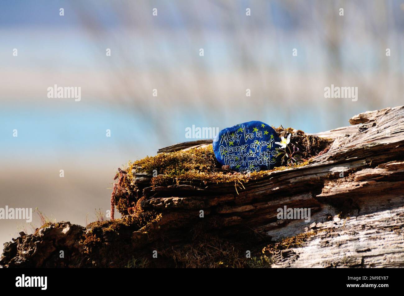 Zitat auf Stein mit Holzhintergrund lackiert Stockfoto