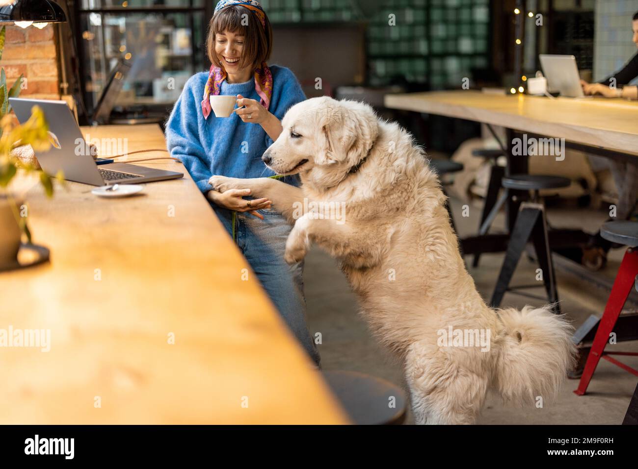 Frau arbeitet mit einem Laptop, während sie mit ihrem Hund in einem modernen Café sitzt Stockfoto