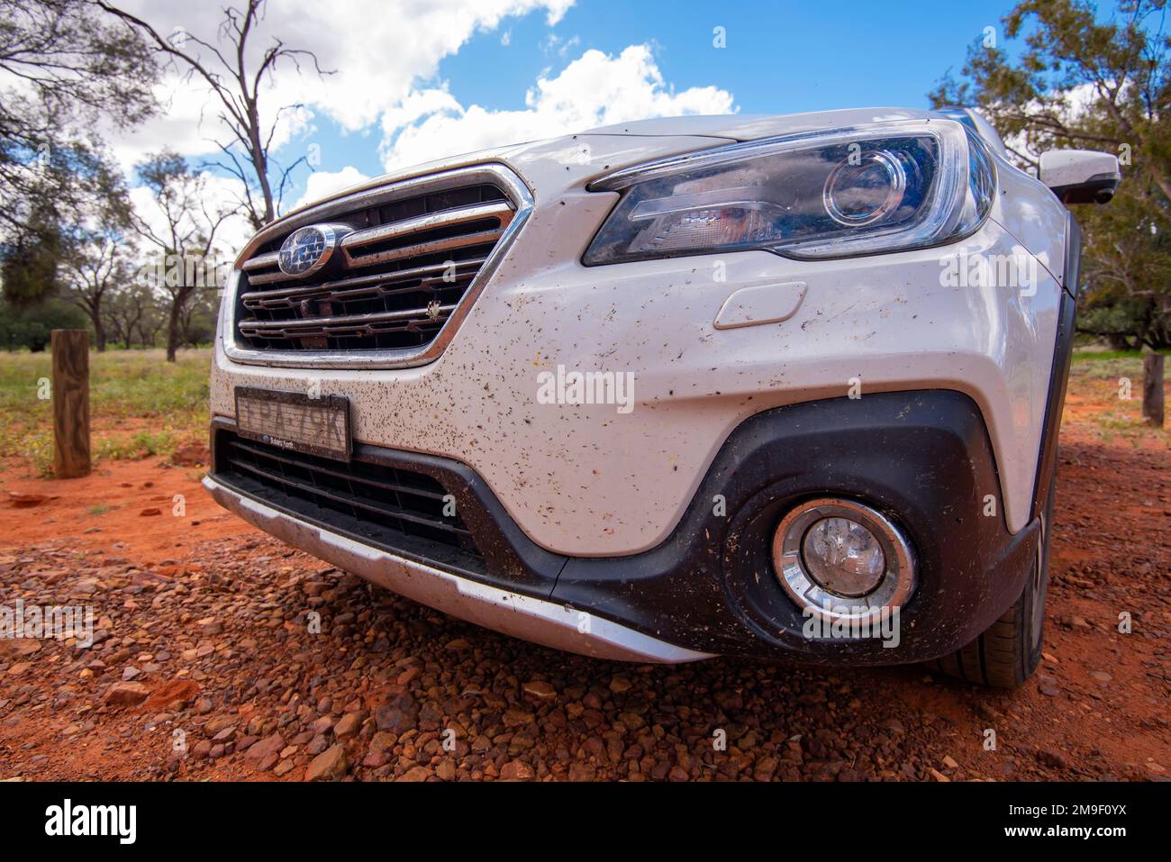 Eine Nahaufnahme der Vorderseite eines 2018 Subaru Outback Wagens, bedeckt mit zerquetschten Insekten und Insekten von der Reise im Outback New South Wales, Australien Stockfoto