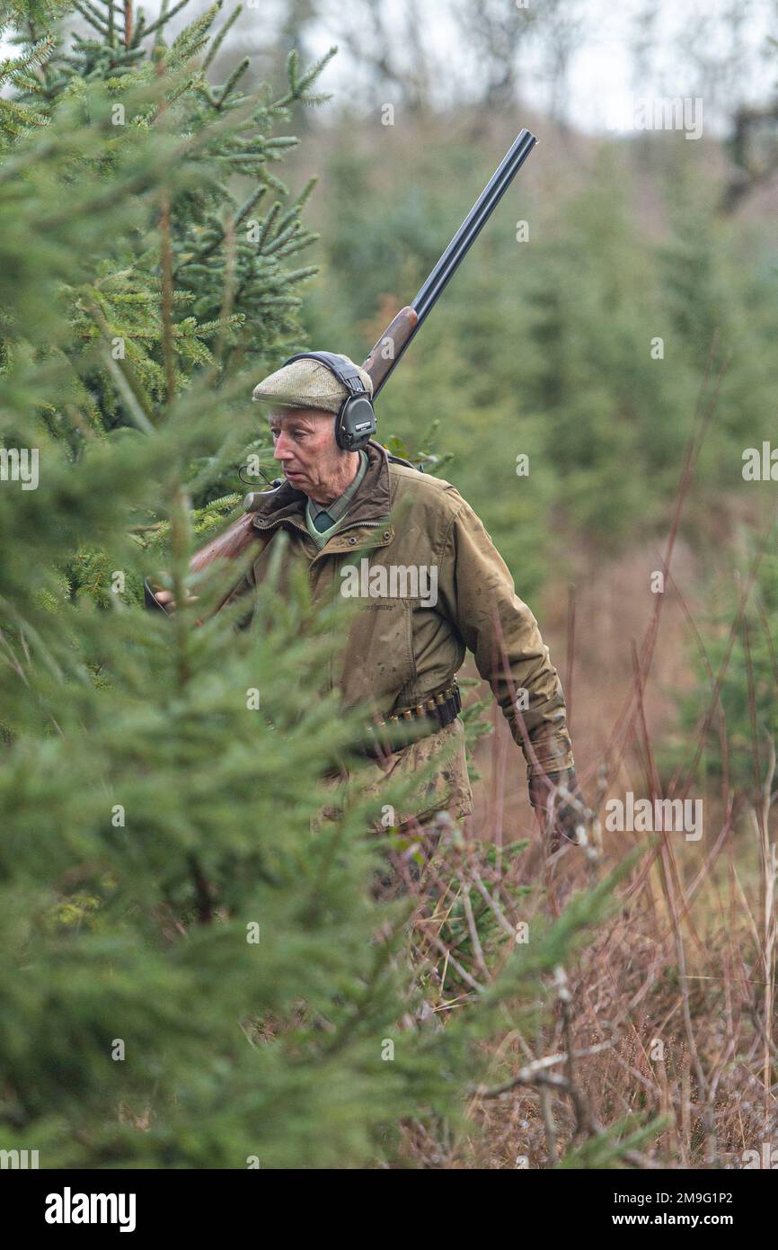 Ein Mann, der im Wald schießt Stockfoto