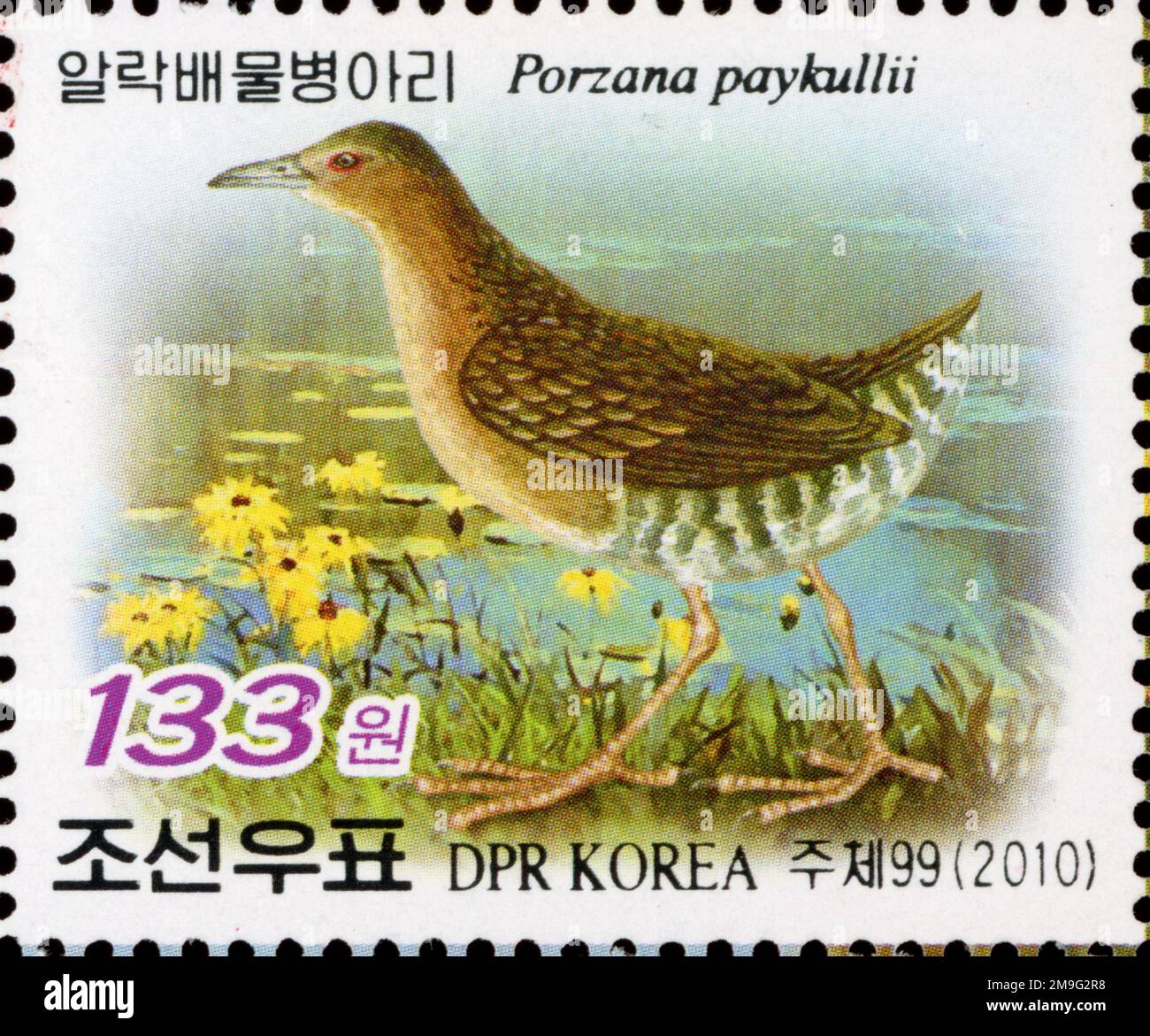 2010 nordkoreanische Briefmarke mit dem Band-Bellied Crake (Porzana paykullii) für die BIRDPEX 9 International Stamp Exhibition. Stockfoto