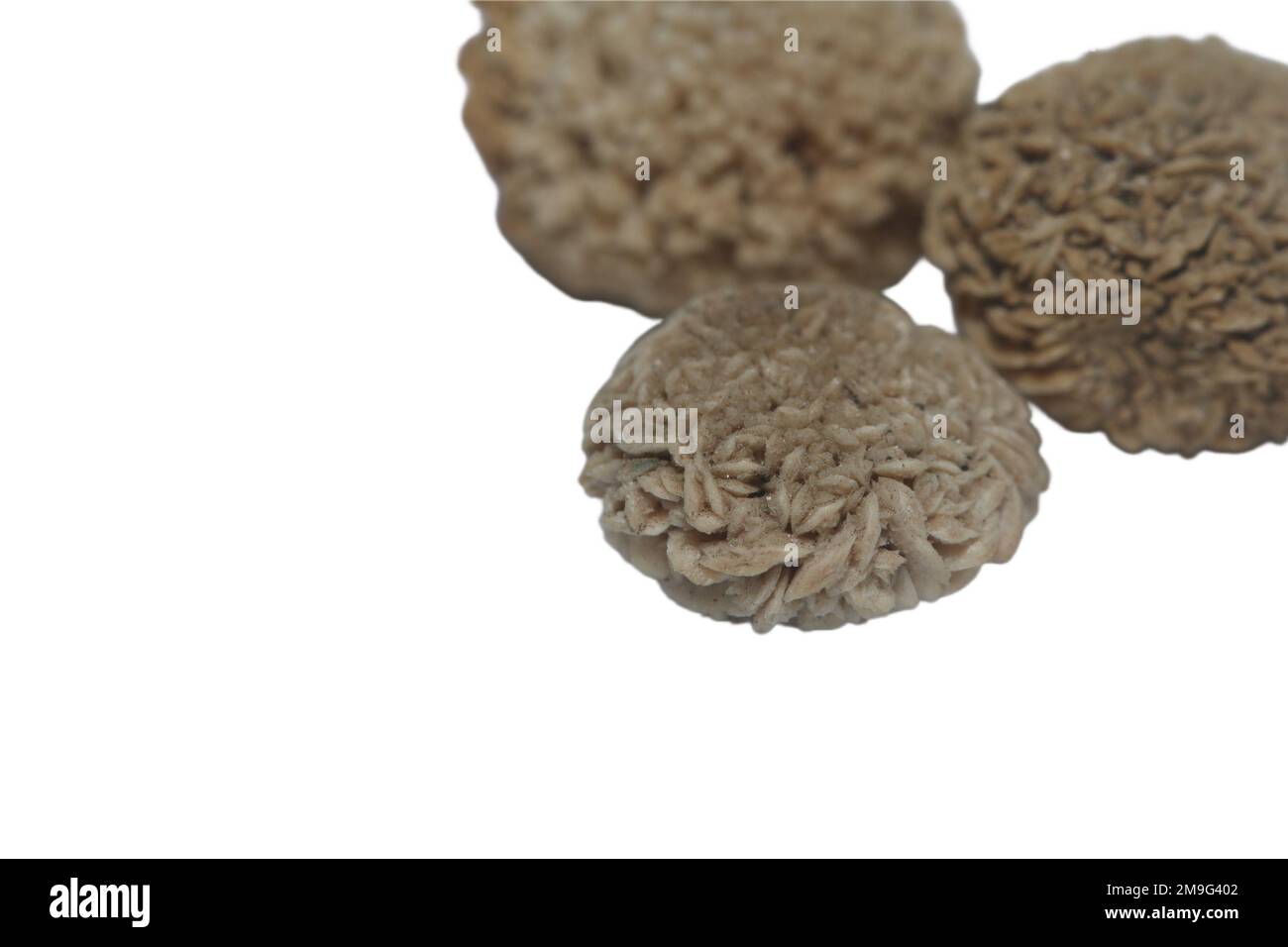 Die runden, braunen, stachligen Calciumoxalat-Blasensteine auf weißem Hintergrund isoliert Stockfoto