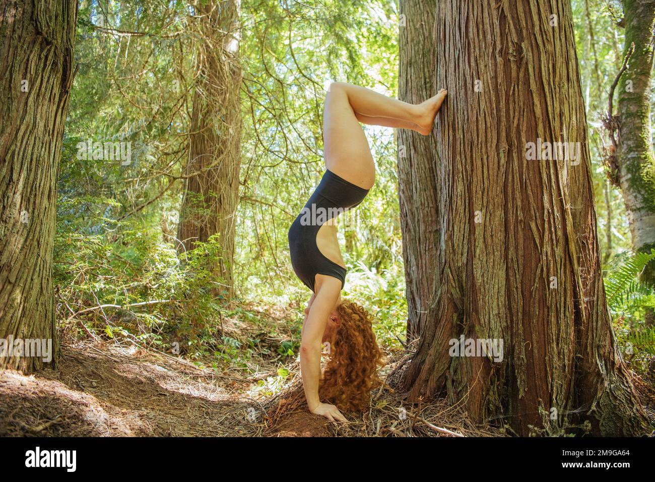 Frau, die beim Yoga im Wald, Bainbridge Island, Washington State, USA, am Handstand steht Stockfoto