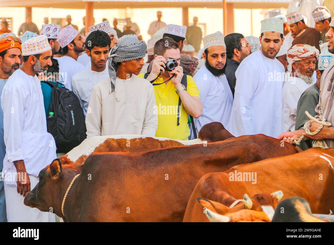 Einfacher Tourist aus dem Westen, der Fotos auf dem traditionellen Ziegenmarkt in Nizwa, Sultanat Oman, Arabische Halbinsel, Asien macht Stockfoto