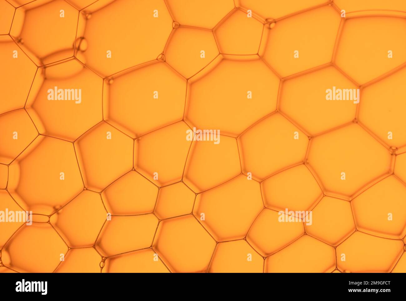 Ein Netz von Seifenblasen, die polygonale Formen bilden. Fotografiert vor einem einfarbigen orangefarbenen Hintergrund Stockfoto