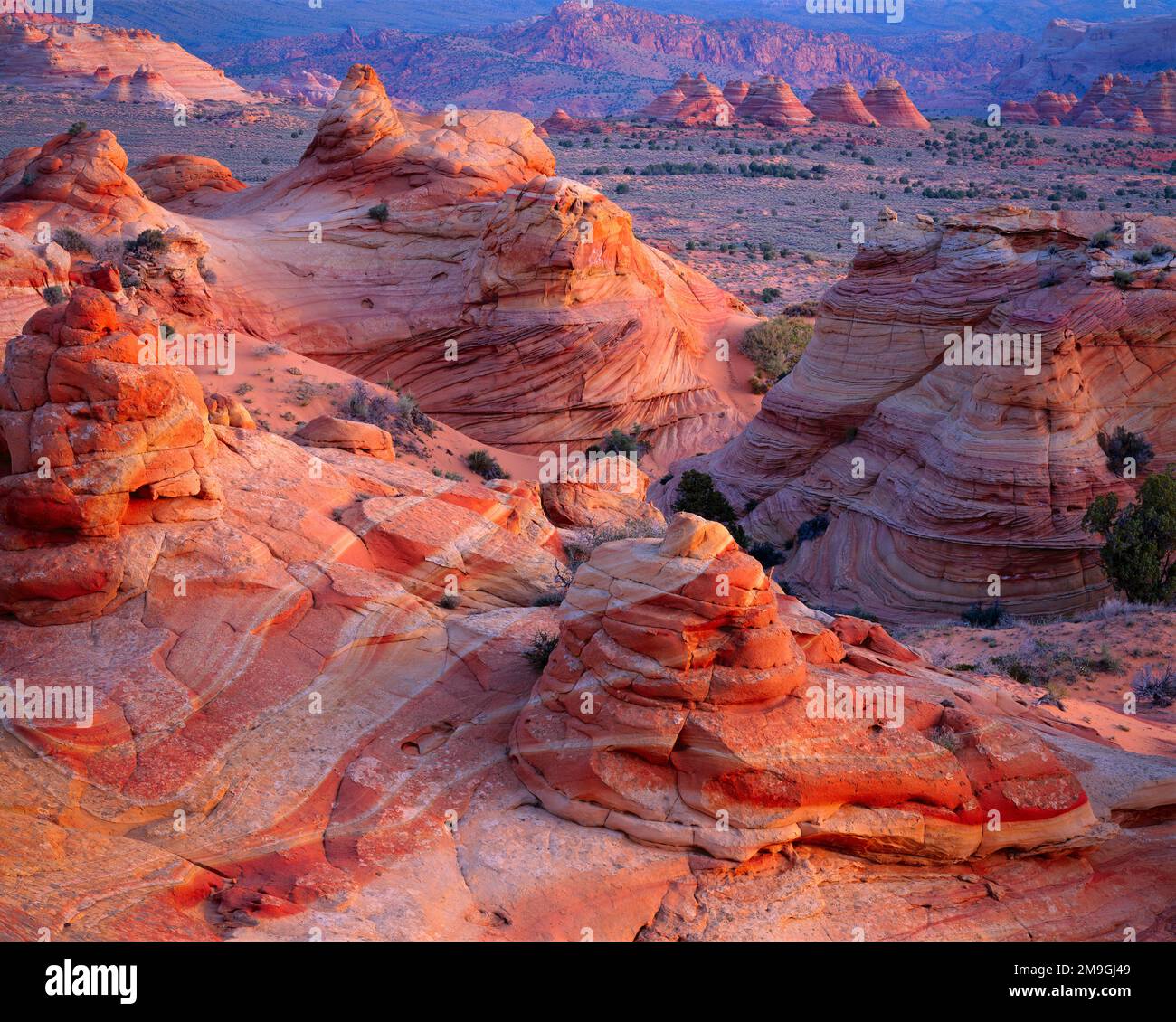 Felsformationen in der Wüste, Vermilion Cliffs Wilderness Area, Arizona, USA Stockfoto