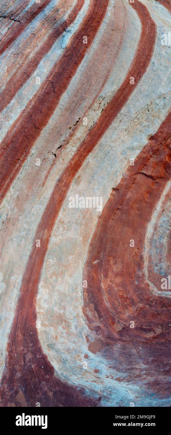 Nahaufnahme von Sandsteinfelsen, Mojave Desert, Las, Vegas, Nevada, USA Stockfoto