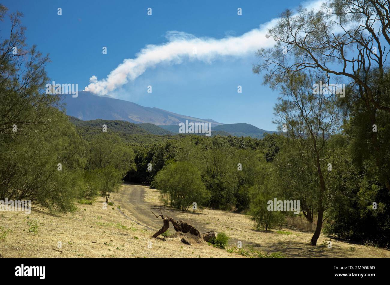 Sommerlandschaft des Vulkanausbruchs am Ätna in Sizilien, Ätna-Nationalpark, Italien Stockfoto