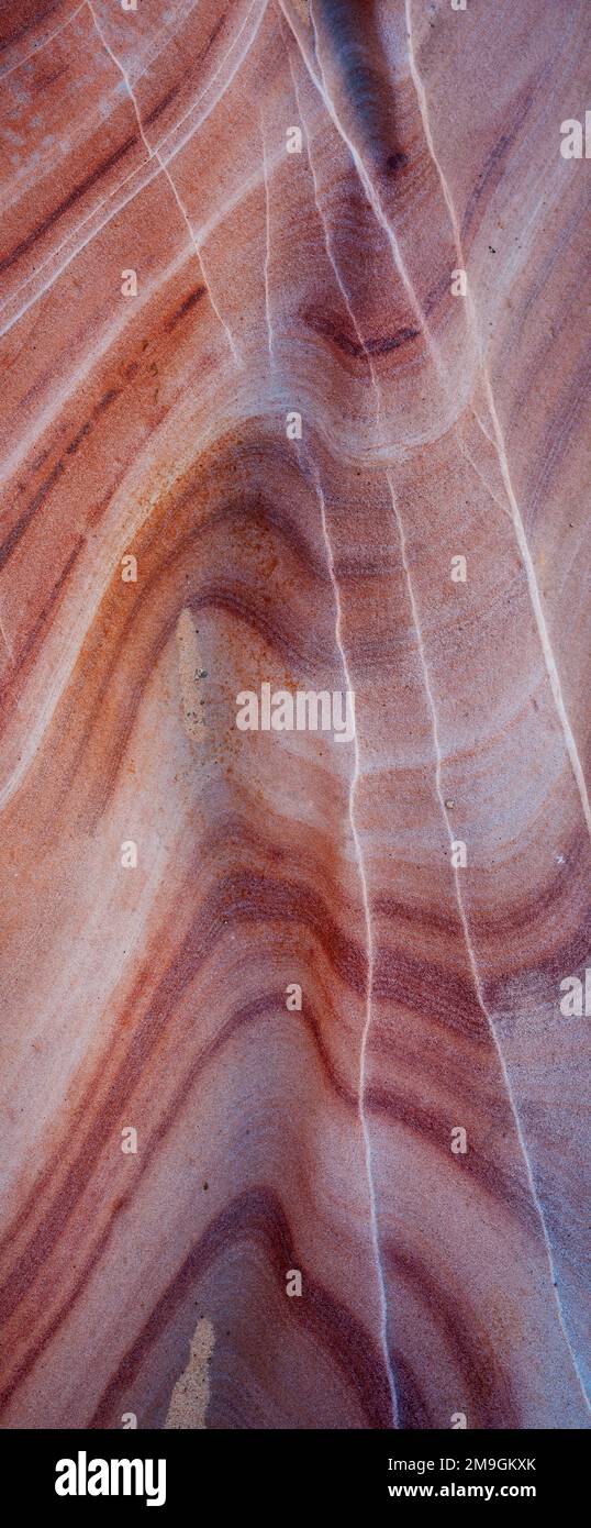 Nahaufnahme von Sandsteinfelsen, Mojave Desert, Las, Vegas, Nevada, USA Stockfoto