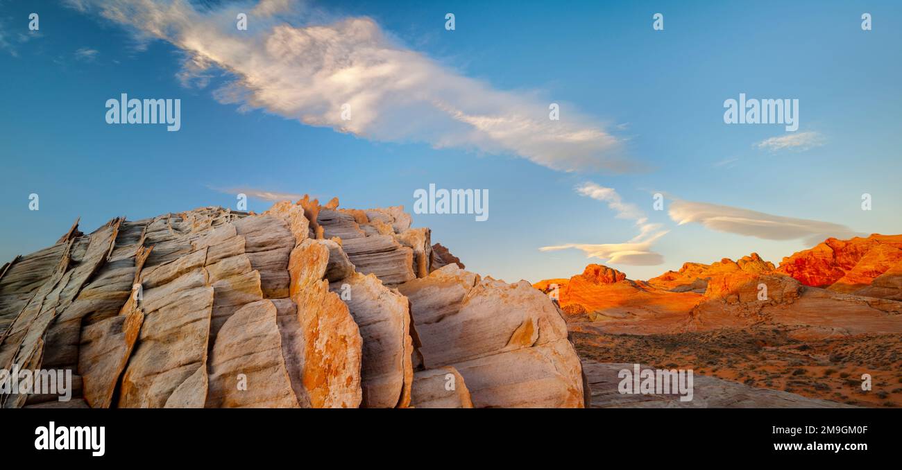 Sandsteinfelsen in der Mojave Desert, Las Vegas, Nevada, USA Stockfoto
