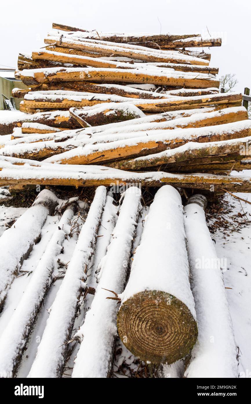 Holzscheiten für Winterkraftstoff in einem Stapel in der Grafschaft Donegal, Irland Stockfoto