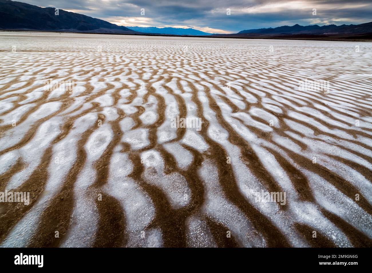 Landschaft mit Blick auf die Wüste, Mesquite Flats Sand Dunes, Death Valley National Park, Kalifornien, USA Stockfoto