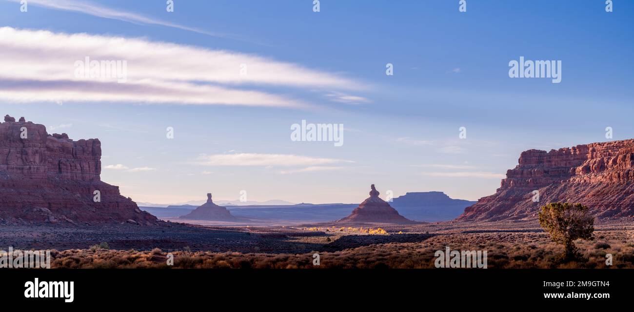 Felsformationen in der Wüste unter blauem Himmel, Valley of the Gods, Colorado Plateau, Great Basin Desert, Utah, USA Stockfoto