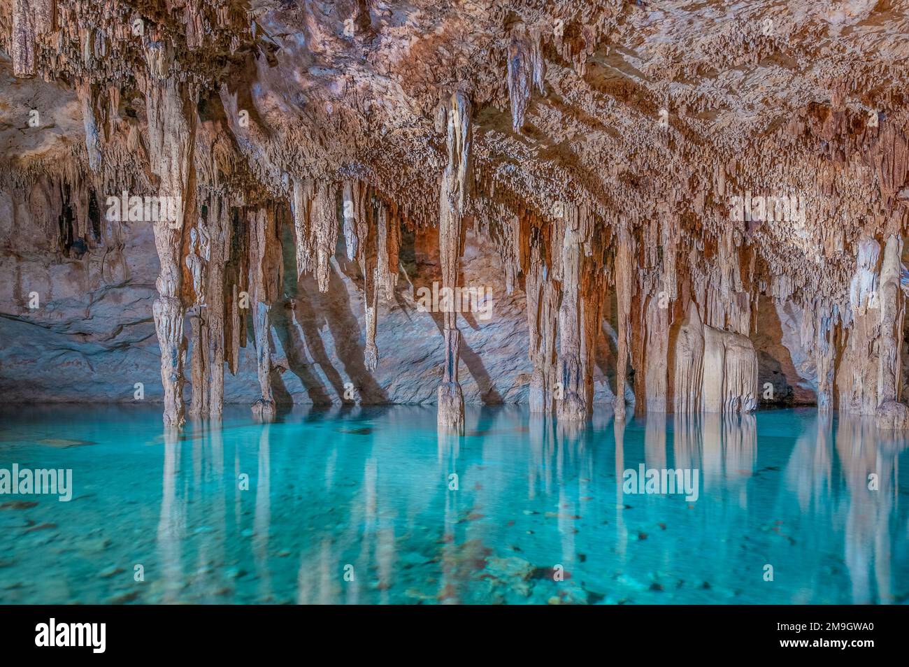 Stalaktiten und Wasser in Cenote Papakal, Merida, Yucatan, Mexiko Stockfoto