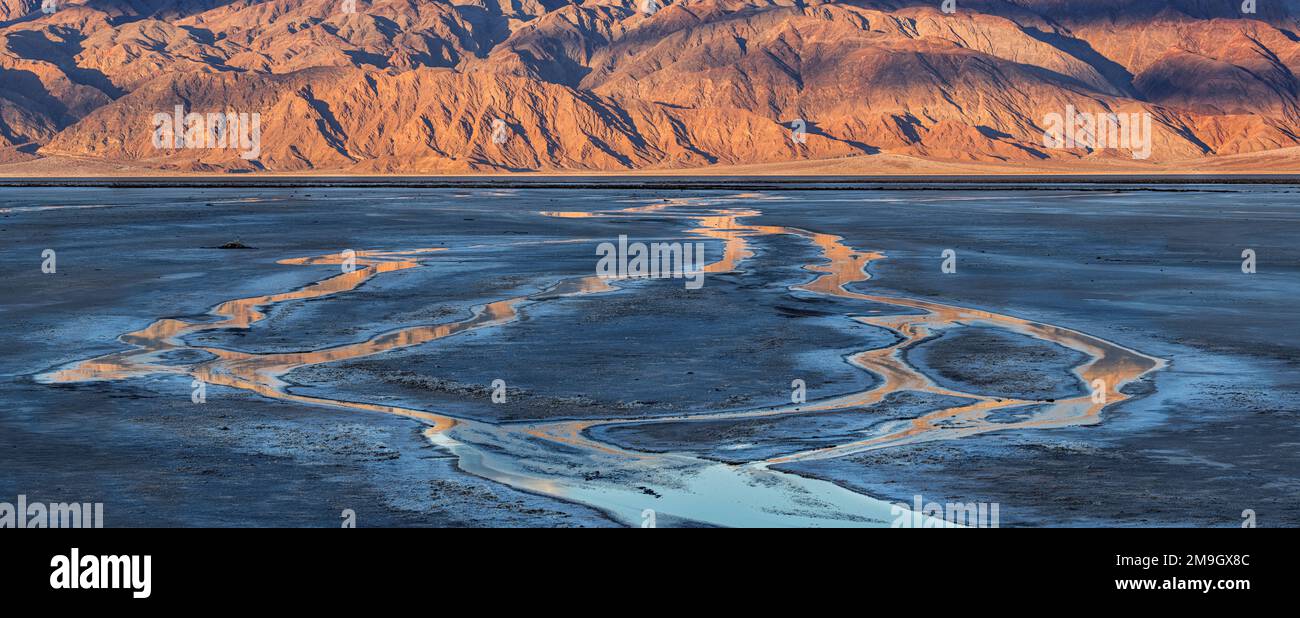 Cottonball Basin Salzebenen, Panamint Range, Death Valley Nationalpark, Kalifornien, USA Stockfoto