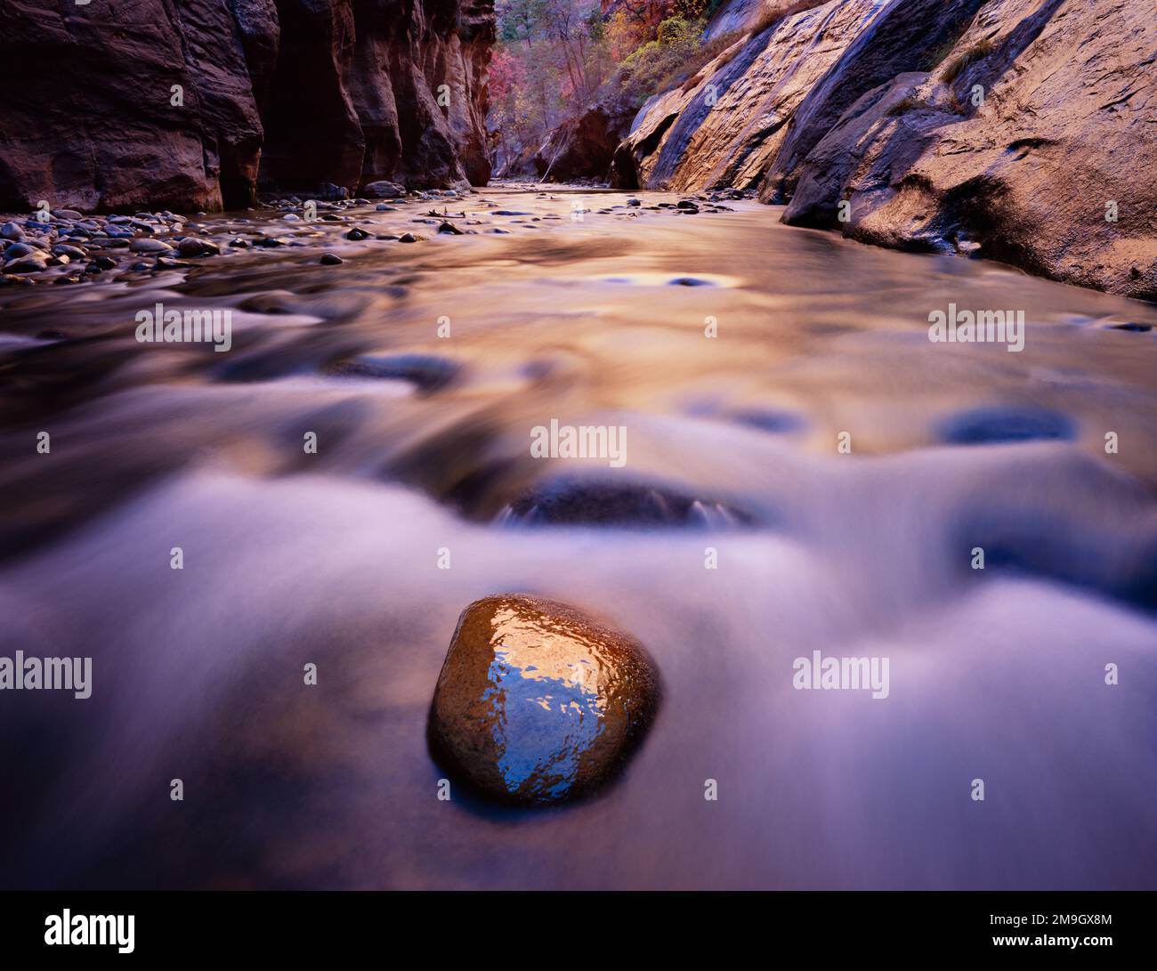 Landschaft mit Flusslandschaft im Canyon, Zion-Nationalpark, Utah, USA Stockfoto