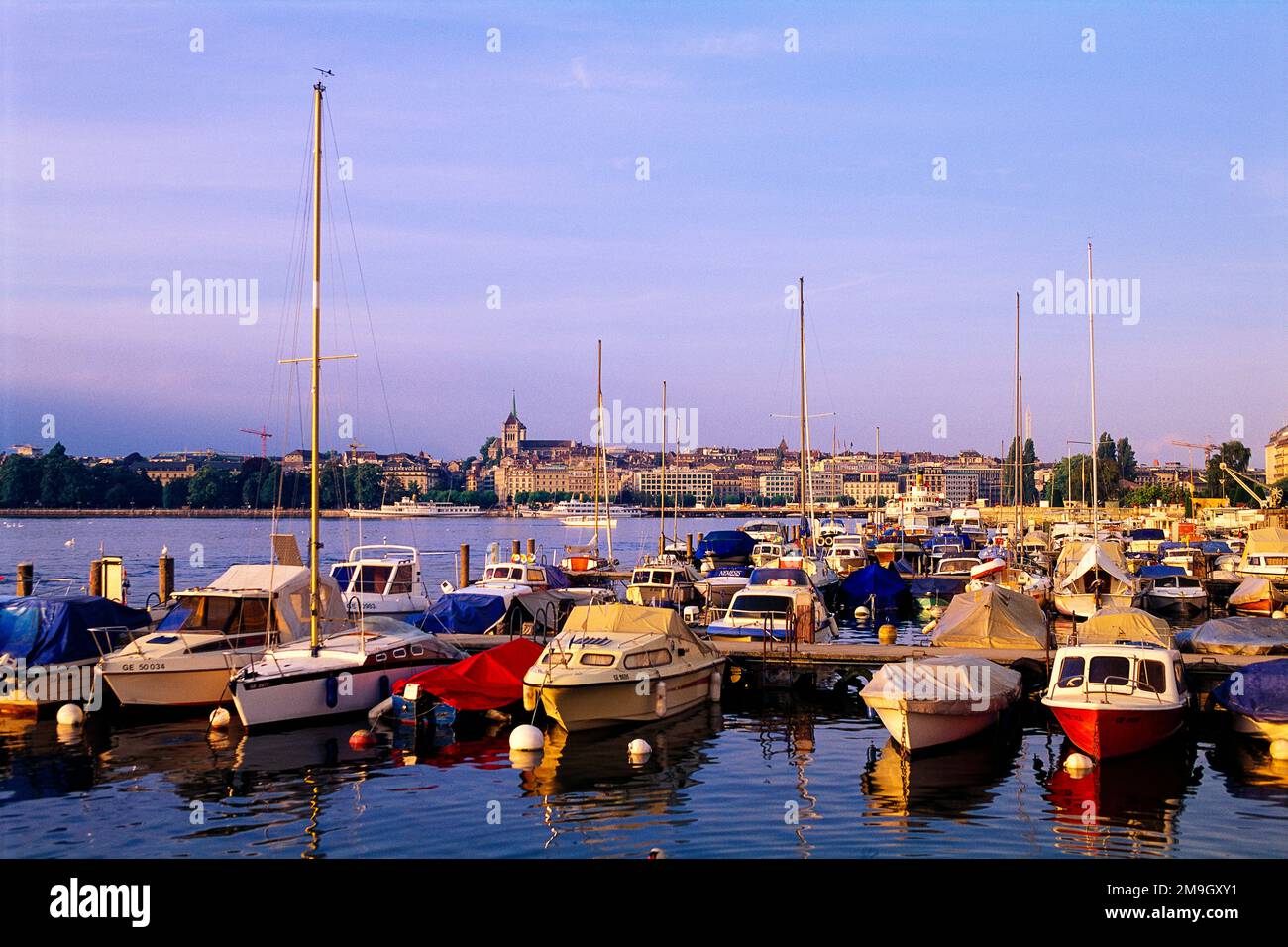 Blick auf den Jachthafen und das Hafengebiet, Genf, Schweiz Stockfoto