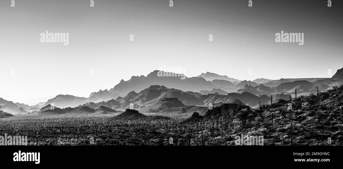 Schwarz-weiße Landschaft mit Blick auf die Wüste, Baja California Sur, Mexiko Stockfoto