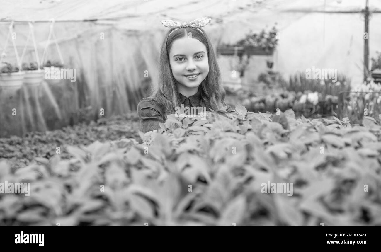 Plantage. Frühling und Sommer. Pflanzen von Topfpflanzen. Kindergärtner. Blumen im Garten. Stockfoto