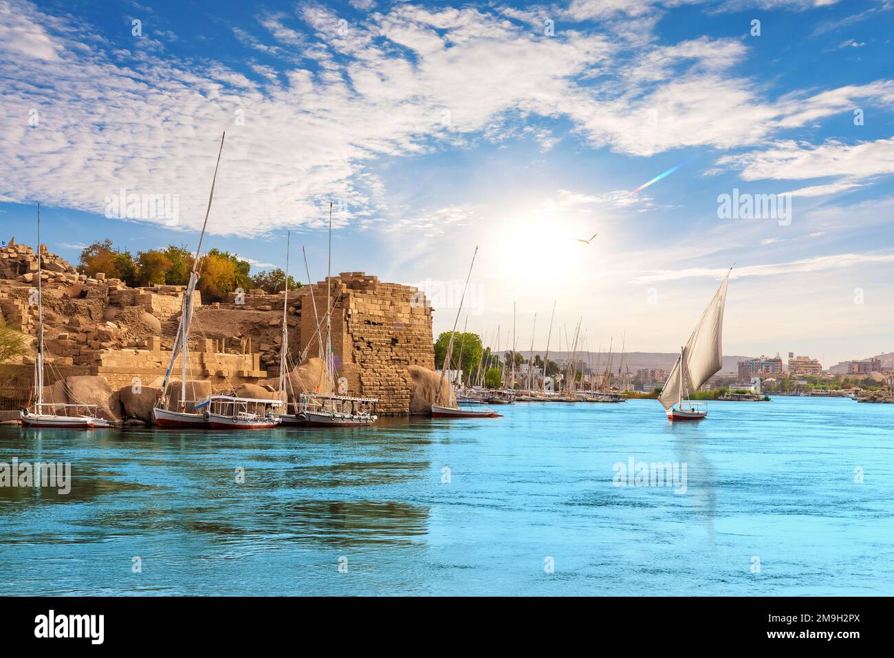 Traditioneller Blick auf Assuan mit Segelbooten im Nil, Ägypten Stockfoto