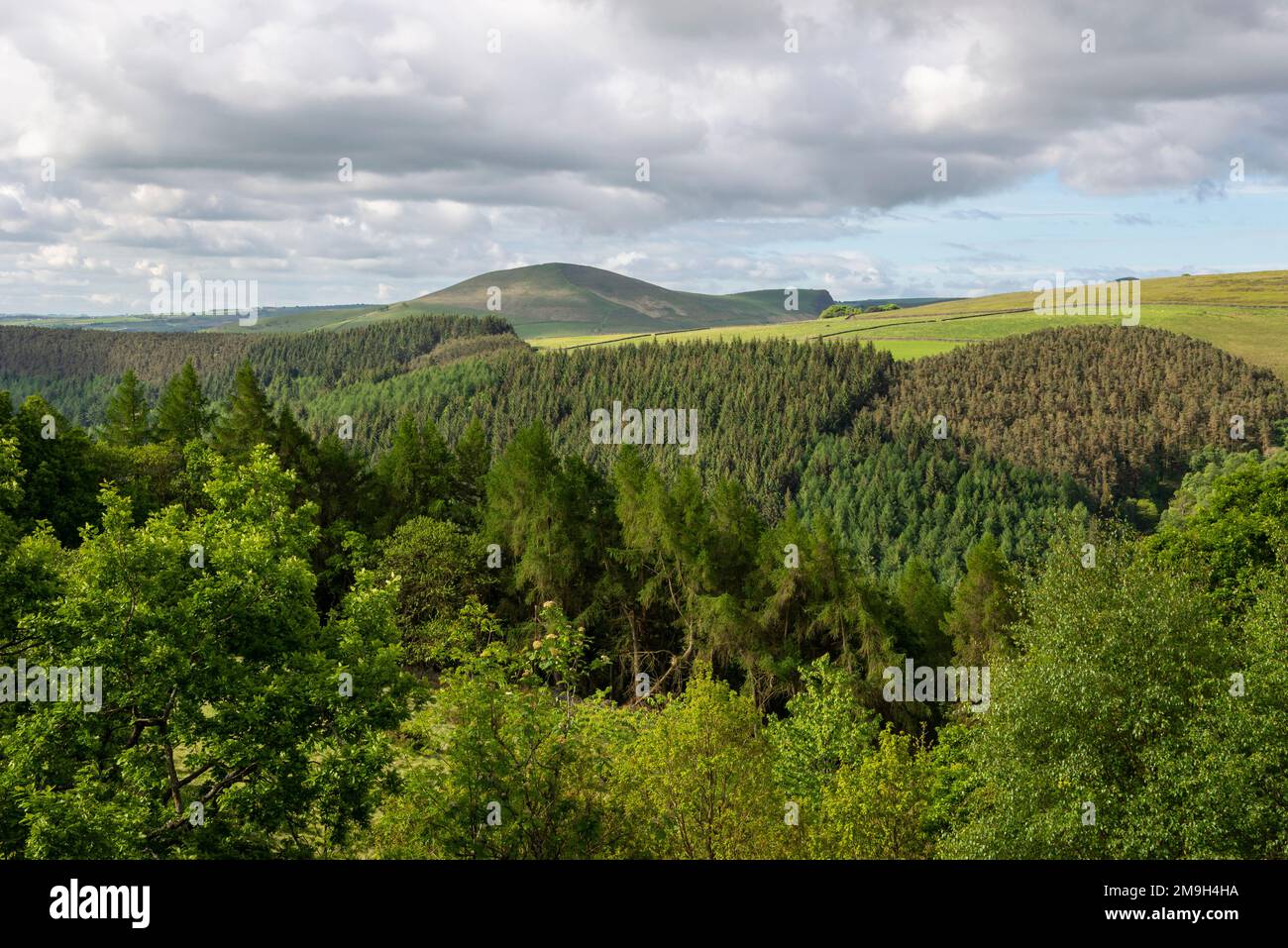 Hoch oben in den Derbyshire Hügeln über dem Woodlands Valley und dem Snake Pass, verlieren Sie Hill im Hintergrund. Peak District Nationalpark, England. Stockfoto