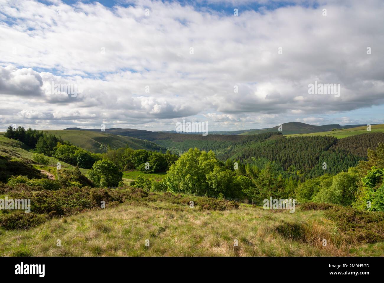 Hoch oben in den Derbyshire Hügeln über dem Woodlands Valley und dem Snake Pass, verlieren Sie Hill im Hintergrund. Peak District Nationalpark, England. Stockfoto