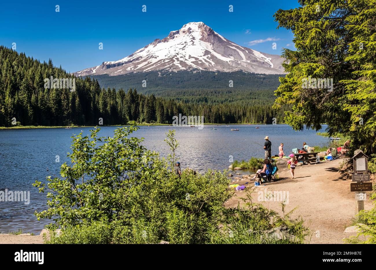 Trillium Lake mit Mount Hood im Hintergrund, Oregon, USA Stockfoto