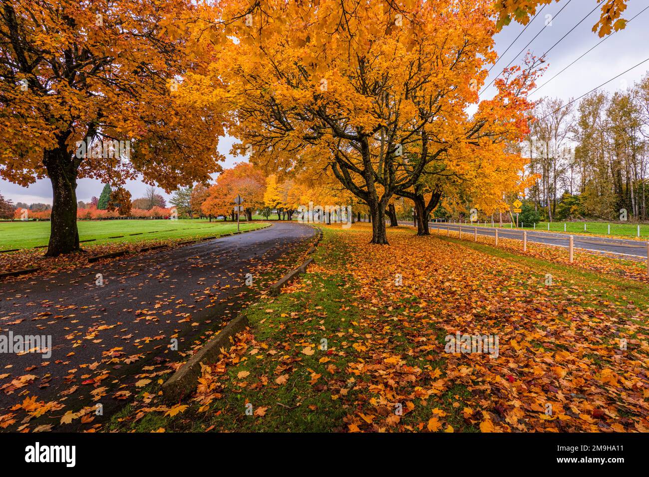 Öffentlicher Park in Herbstfarben, Gresham, Oregon, USA Stockfoto
