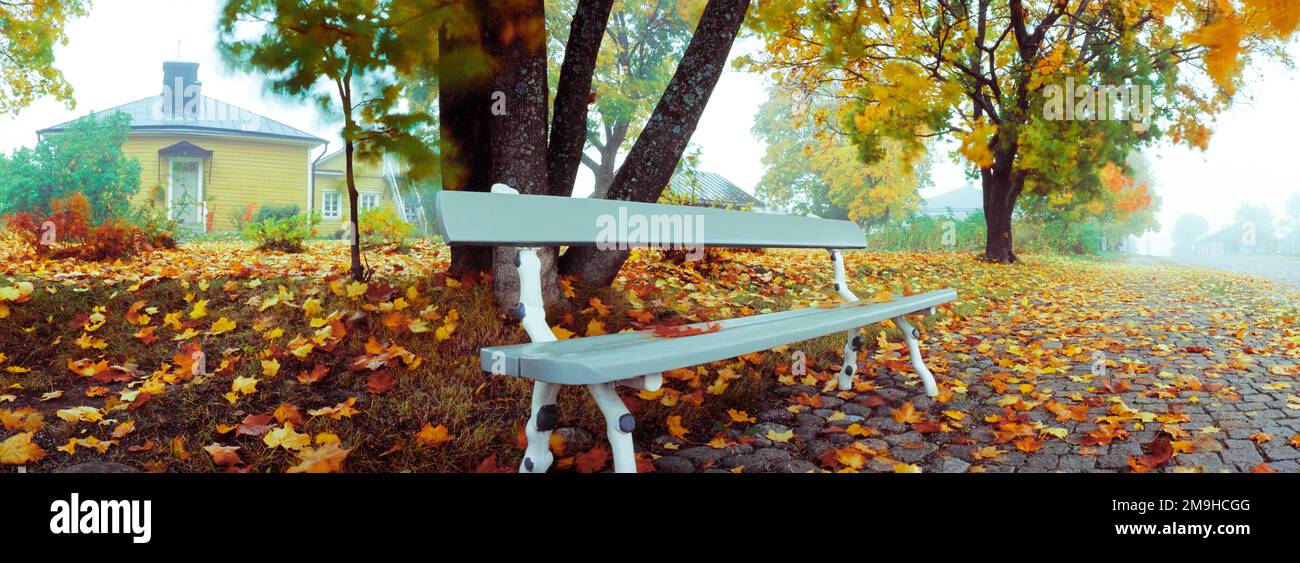 Blaue Parkbank umgeben von herbstfarbenen Blättern, Lappeenranta, Südkarelien, Finnland Stockfoto