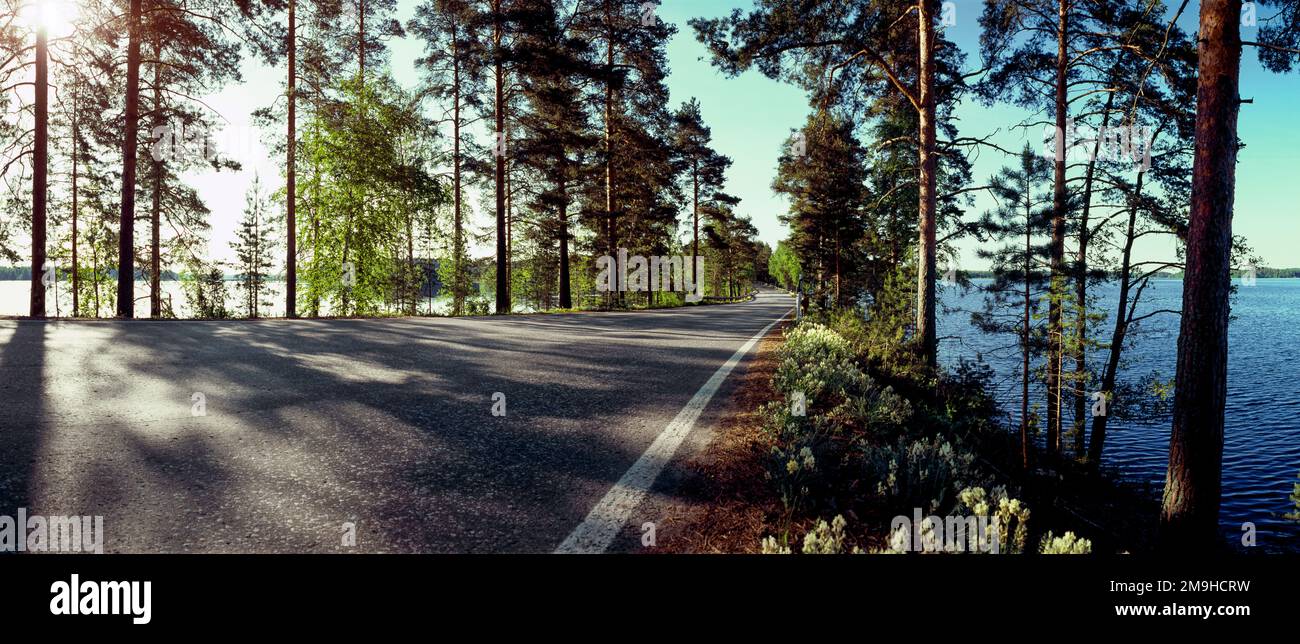 Landschaft mit Straße, Wald und See, Punkaharju, Süd-Savo, Finnland Stockfoto