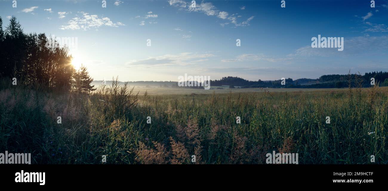 Wiesen und Nebel in der Ferne bei Sonnenaufgang, Joutsena, Südkarelien, Finnland Stockfoto