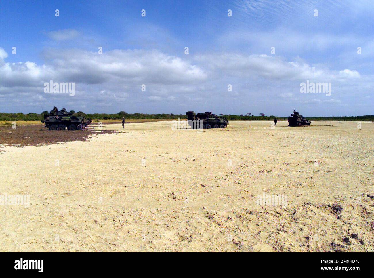 Light Armored Vehicle-25 (LAV-25)s von Charlie Company 1. Light Armored Reconnaissance (LAR) „war Pigs“ von der 13. Marine Expeditionary Unit (Special Operations Capable) (MEU (SOC)) arbeiten zusammen, um einen ihrer Mitstreiter „war Pigs“ herauszuholen, nachdem er während der EDGED MALLET „02 Ausbildung in Kenia, Afrika, feststeckte. Einsatzgebiet/Serie: KANTENHAMMER '02 Basis: Marinestützpunkt Manda Bay Bundesstaat: Küstenland: Kenia (KEN) Szene Hauptkommando gezeigt: 13 MEU Stockfoto