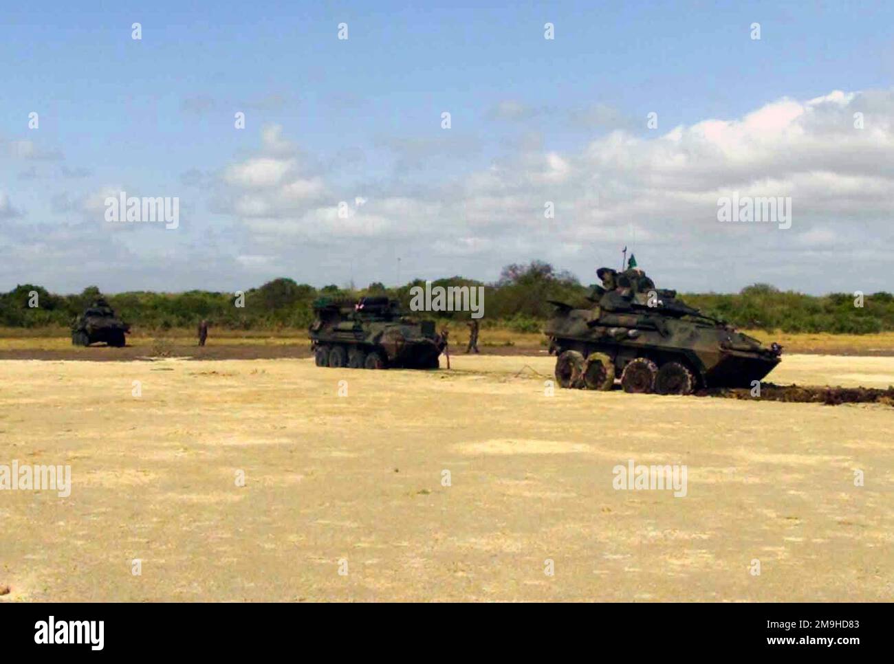 Light Armored Vehicle-25 (LAV-25)s von Charlie Company 1. Light Armored Reconnaissance (LAR) „war Pigs“ von der 13. Marine Expeditionary Unit (Special Operations Capable) (MEU (SOC)) arbeiten zusammen, um eines ihrer „war Pigs“ herauszuholen, nachdem sie während des Trainings auf DER EDGED MALLET „02 in Kenia, Afrika, feststeckten. (Unterdurchschnittliches Bild). Betreff Operation/Serie: KANTENHAMMER '02 Basis: Marinestützpunkt Manda Bay Bundesstaat: Küstenland: Kenia (KEN) Stockfoto