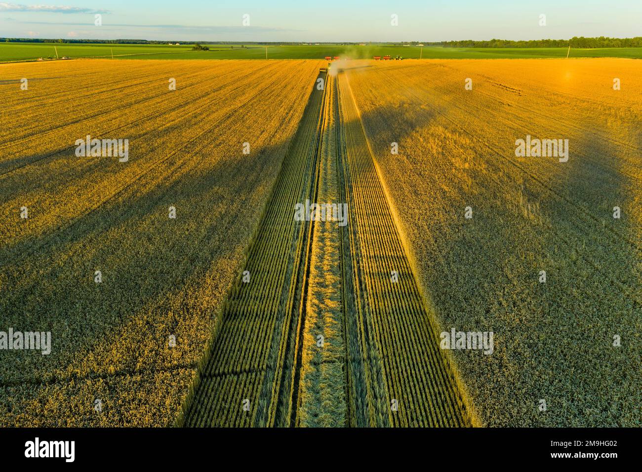 Der Mähdrescher bei Sonnenuntergang im Marion County, Illinois, USA, aus der Vogelperspektive Stockfoto