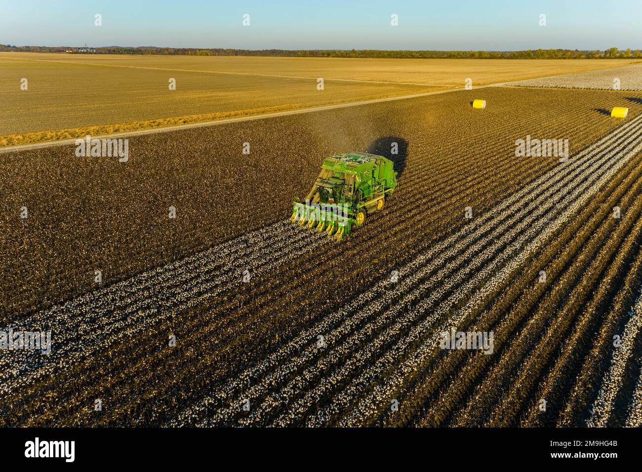 Baumwollpflücker, die Baumwolle ernten, aus der Vogelperspektive im Stoddard County, Missouri, USA Stockfoto