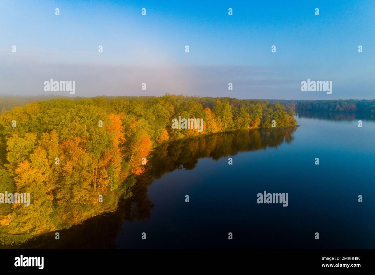 See mit Wald am Ufer im Herbst, Stephen A. Forbes State Park, Marion County, Illinois, USA Stockfoto