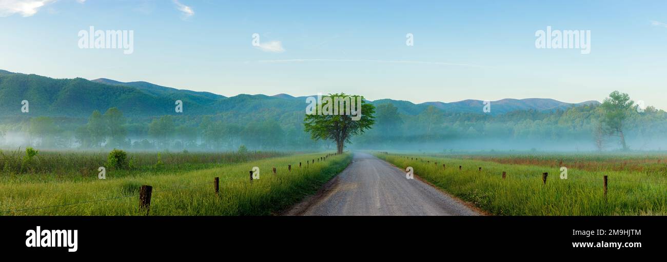 Landschaft mit Bergen, Straßen und Wiesen im Nebel, Hyatt Lane, Great Smoky Mountains National Park, Tennessee, USA Stockfoto