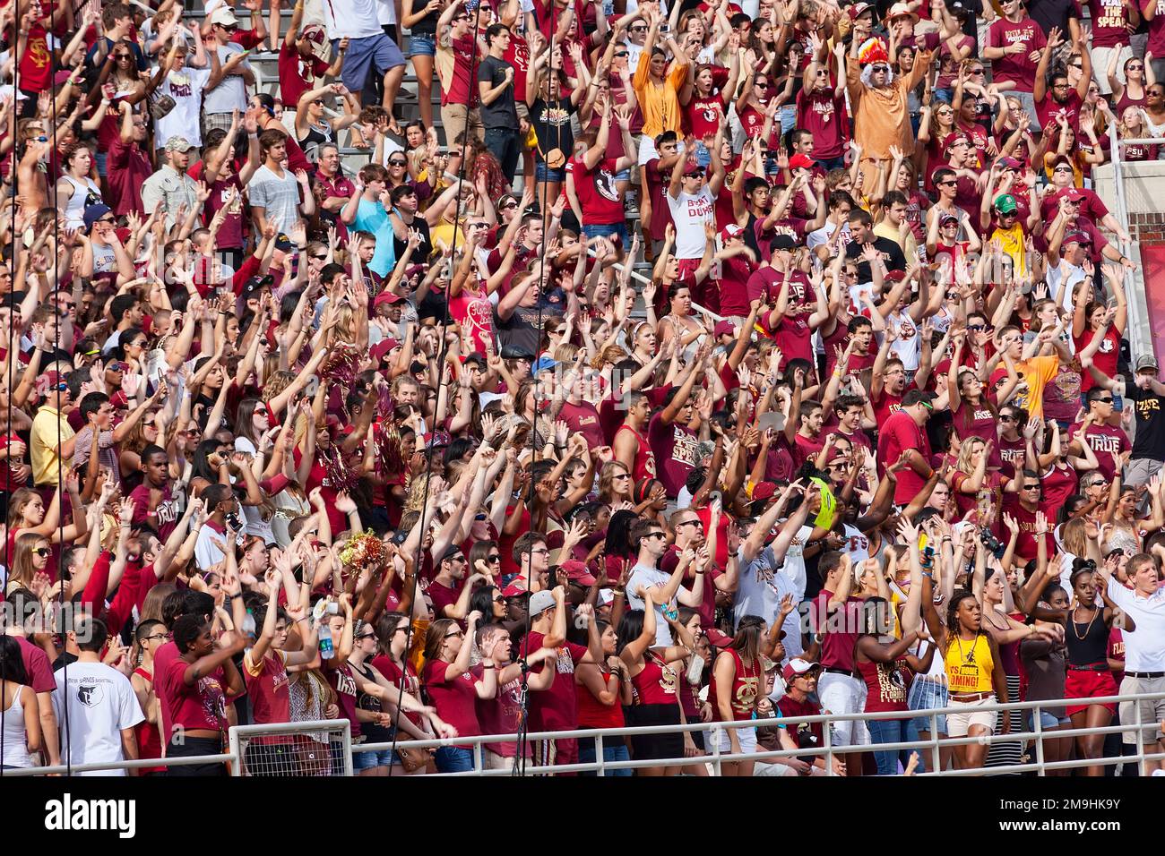 Tallahassee, Florida - 27. Oktober 2012: Fans der Florida State University jubeln bei einem Fußballspiel für das Florida State Seminole Team. Stockfoto