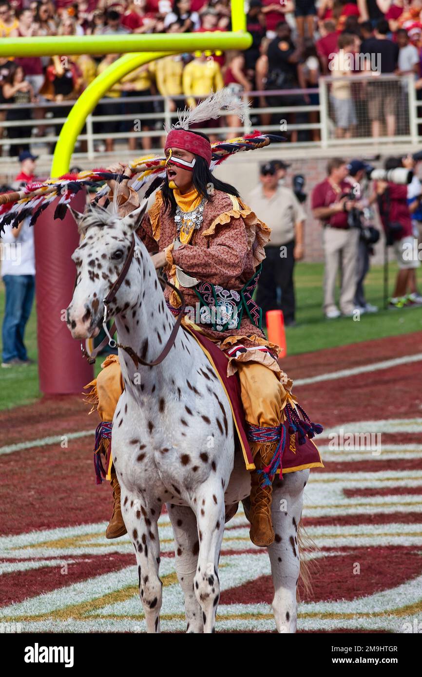 Tallahassee, Florida - 27. Oktober 2012: Maskottchen der Florida State University, Chief Osceola, Reiten auf einer Appaloosa. Stockfoto