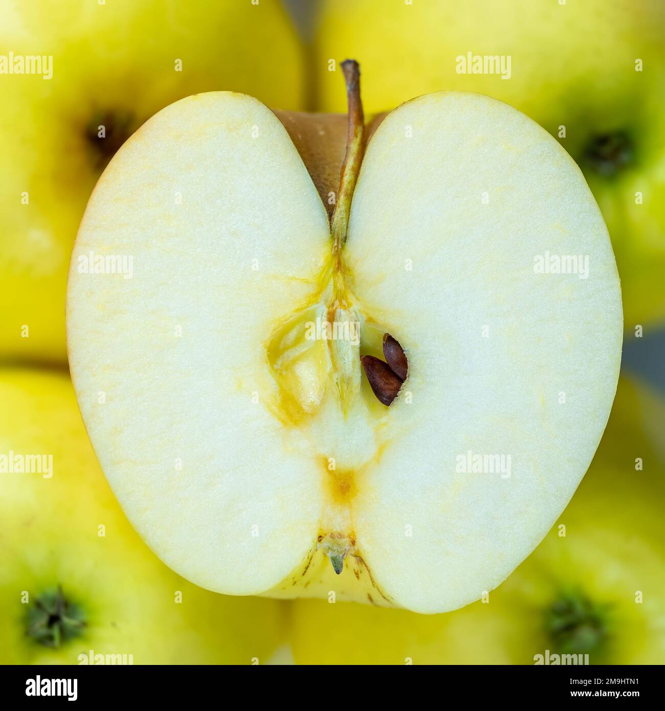 Apfelherz wird halbiert, die Samen sind sichtbar, Makrofoto. Stockfoto
