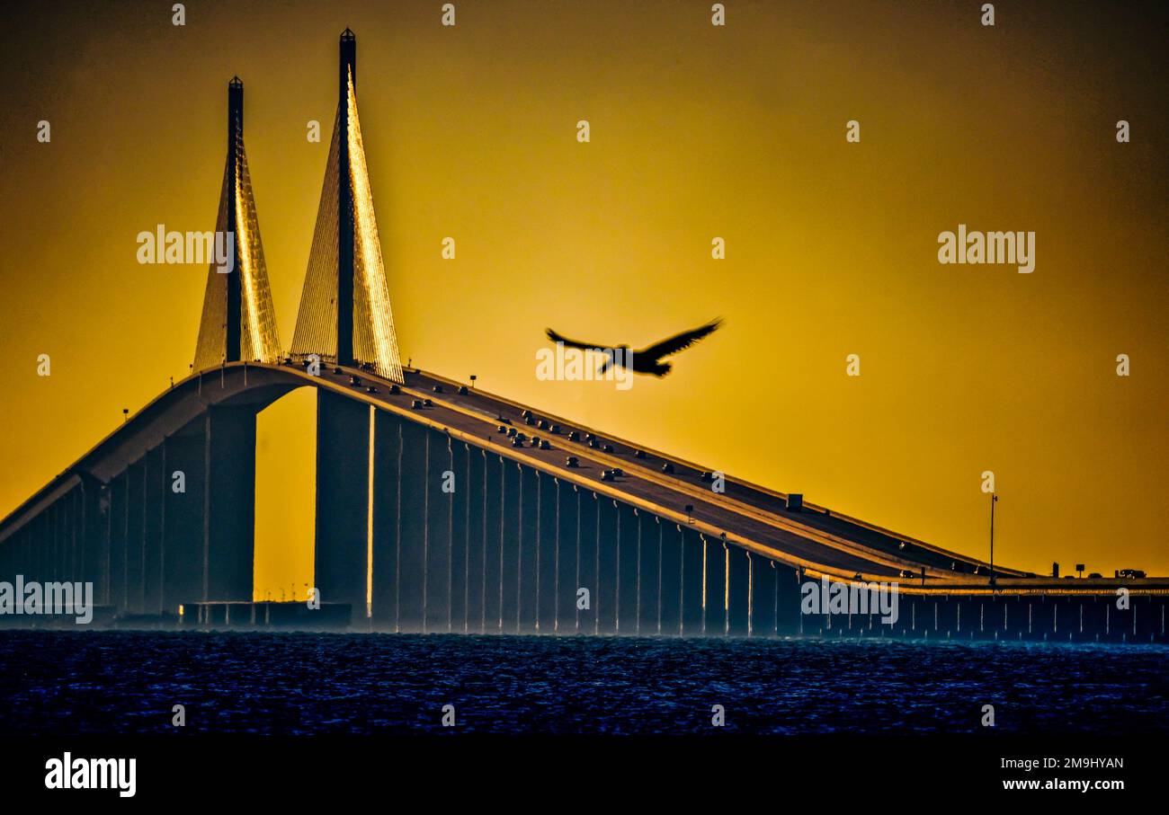 Skyway Brücke, St. Petersburg, Florida, USA Stockfoto