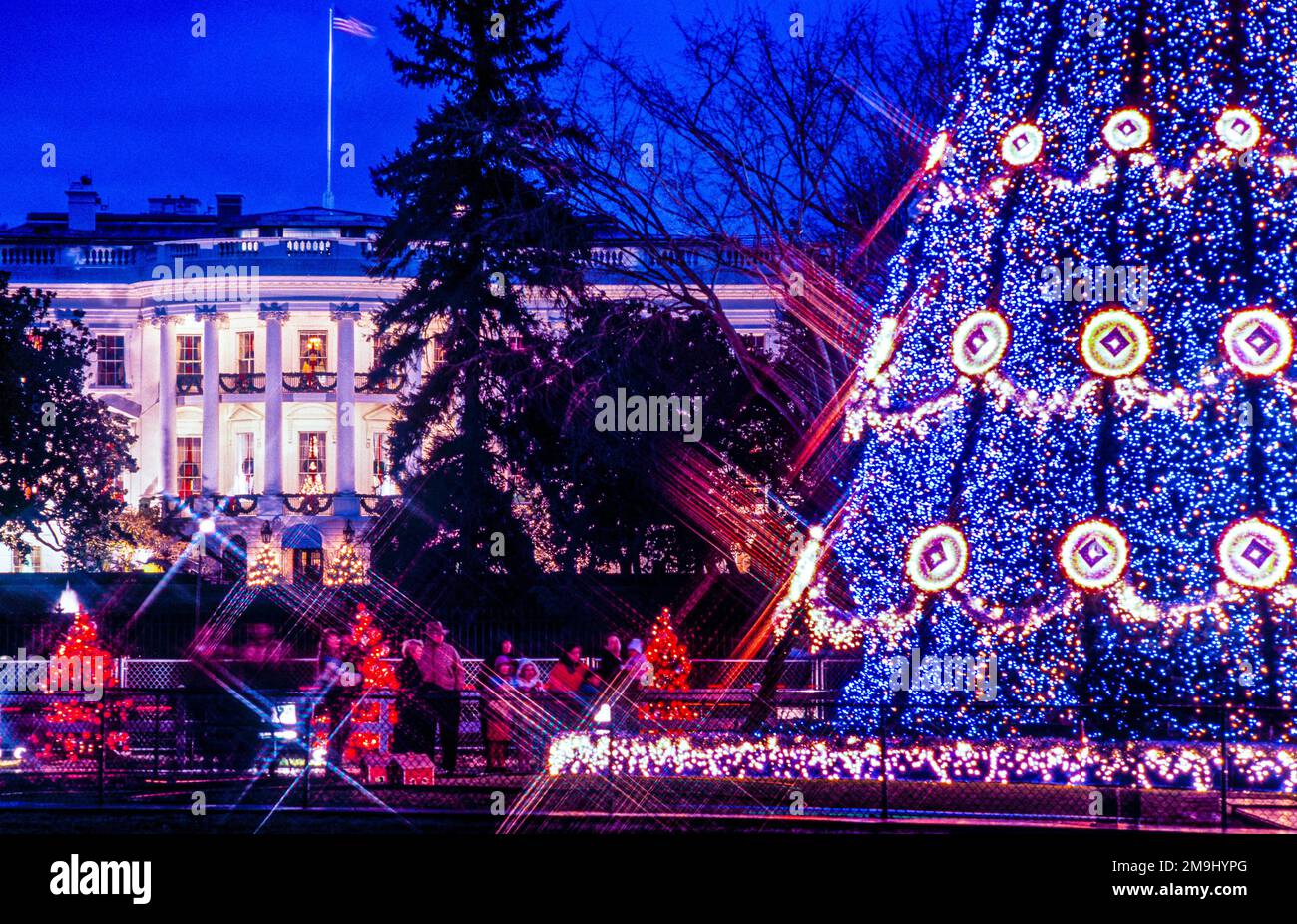 Weißer Haus-Weihnachtsbaum, Washington D.C., USA Stockfoto