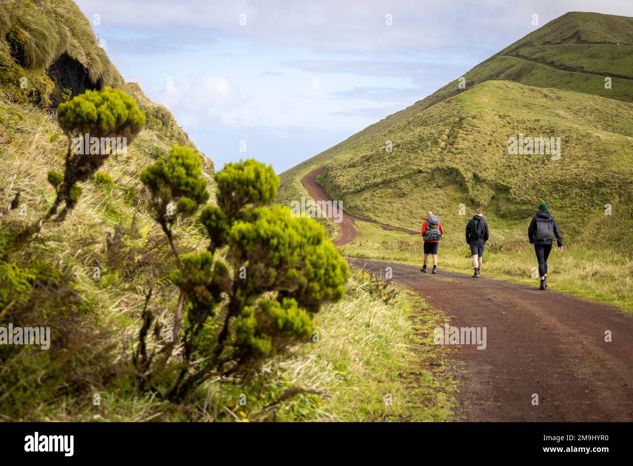 Gruppe von Wanderer im zentralen Hochland der Insel São Jorge, Azoren Stockfoto