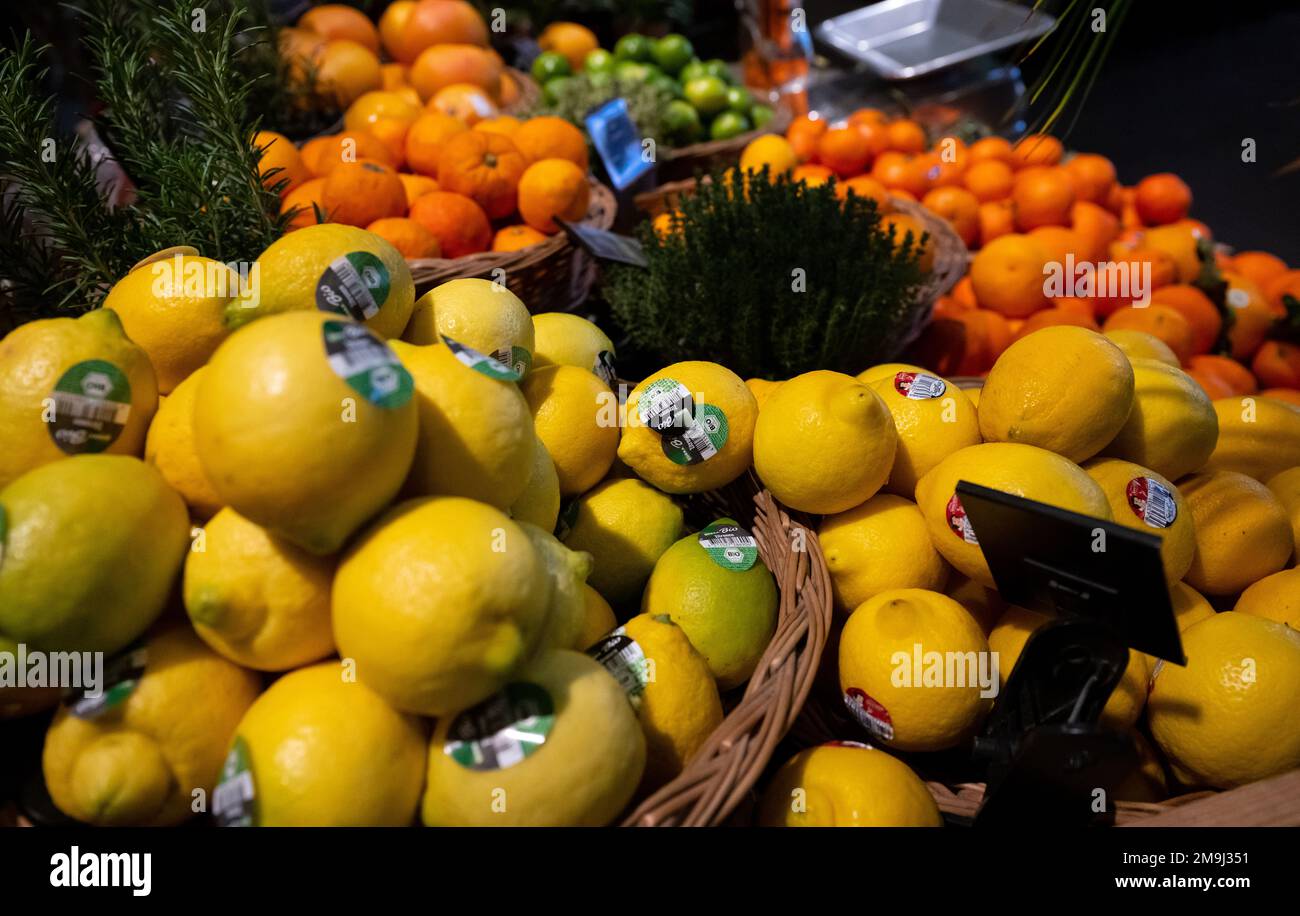 Neubiberg, Deutschland. 18. Januar 2023. Zitronen und Tangerinen werden in einem Supermarkt ausgestellt. Kredit: Sven Hoppe/dpa/Alamy Live News Stockfoto