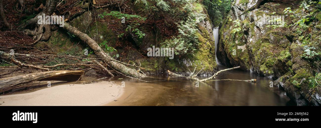 Landschaften mit Big Pup Falls, Michigan, USA Stockfoto