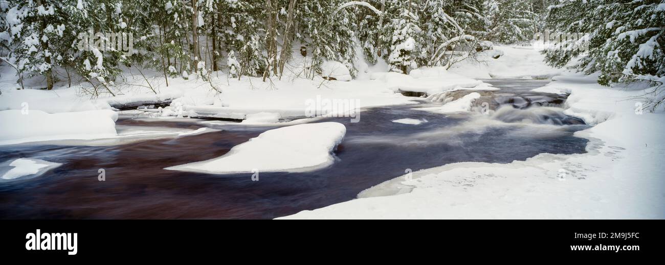 Die Landschaft am Yellow Dog River im Winter, Michigan, USA Stockfoto