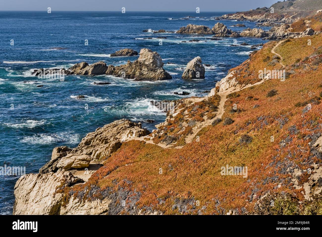 Küstenklippen bedeckt mit rötlichen Pflanzen bei einer Wanderung. Es gibt auch Steine im blauen Meerwasser. Stockfoto