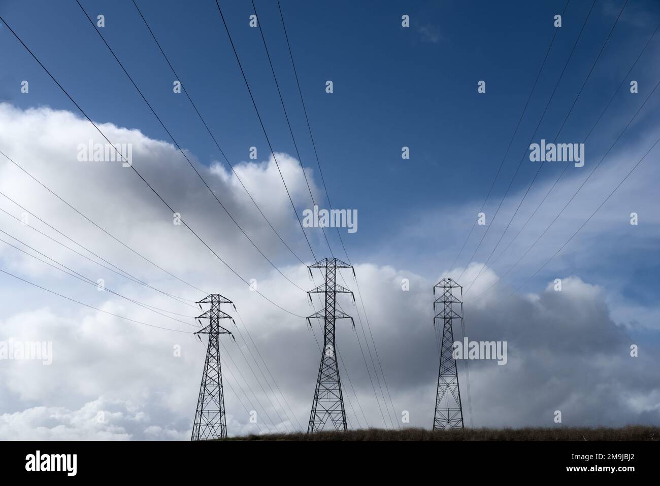 Drei Pylonen tragen Stromleitungen am Horizont mit blauem Himmel und weißen Wolken. Stockfoto