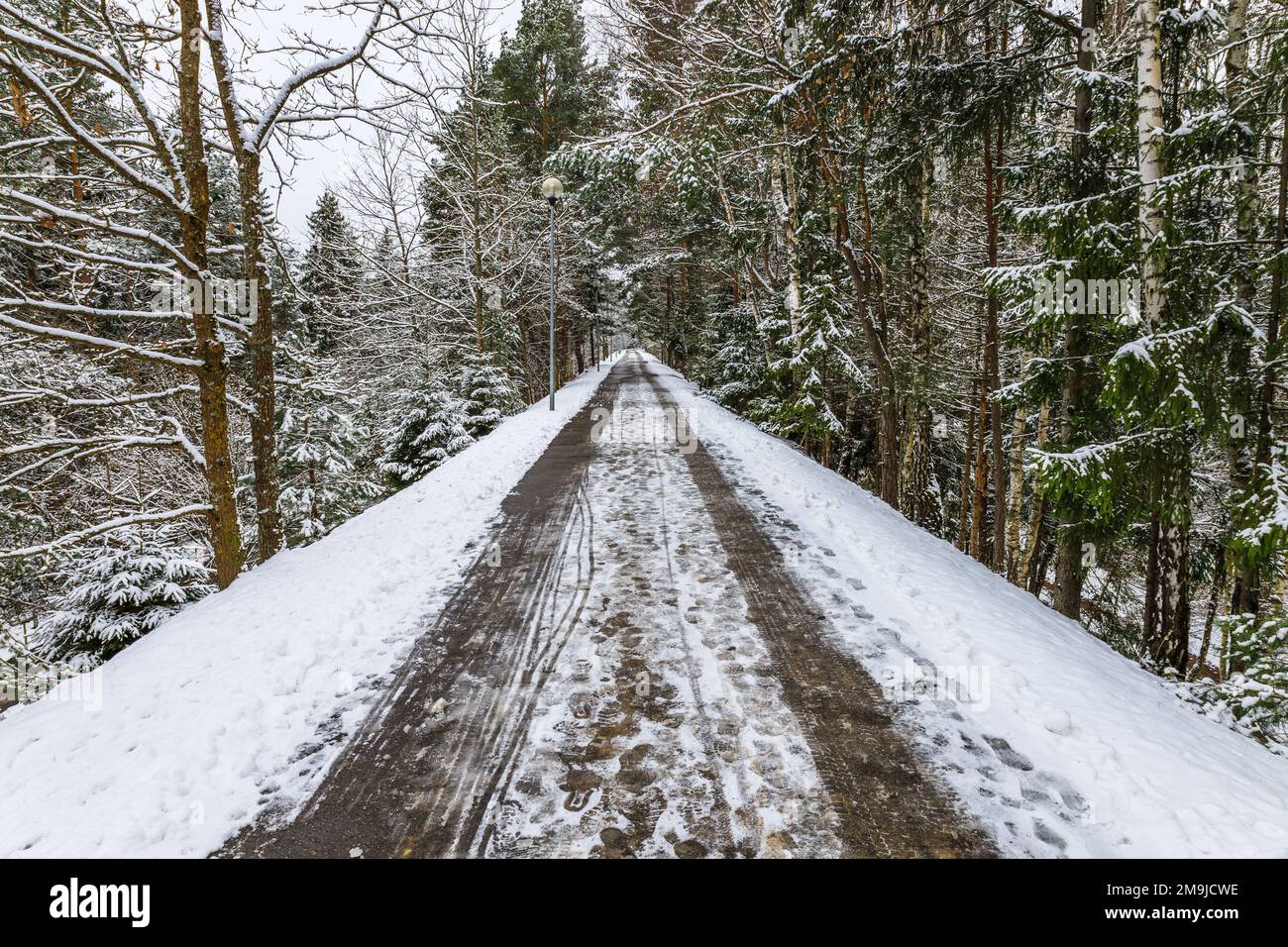 Schneebedeckte, leere Straße im Wald Stockfoto