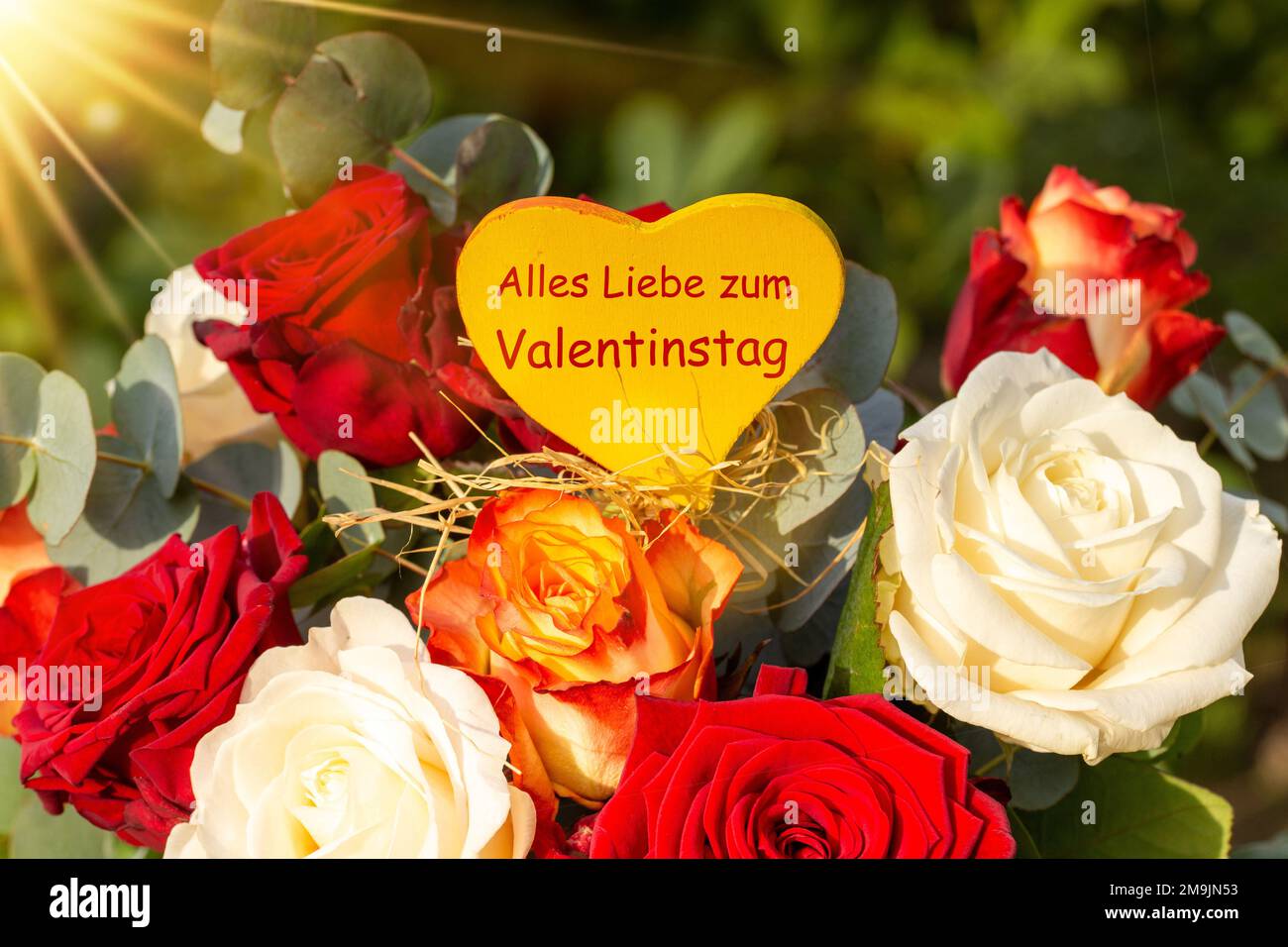 Valentinstagsgrüße mit roten und weißen Rosen. Das Herz in der Mitte sagt (auf Deutsch) alles Liebe zum Valentinstag (alles gute zum Valentinstag) Stockfoto